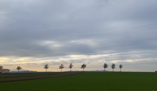 【ポイ活初心者向け】健康のために歩いてポイントが貯まるアプリ、どれがいい？