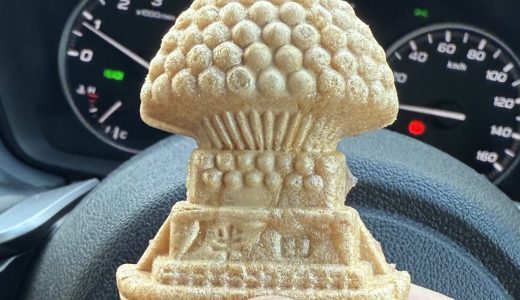 【いちご大福発祥の地】歴史と日本・愛知の有名店を徹底解説！