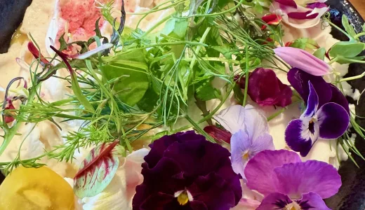 豊橋カレーうどん、創作は味を超絶するのか？