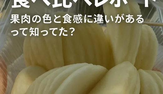 「グアバって当たり外れある？タイの白グアバを食べ比べてみた」