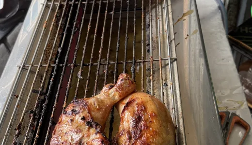 初めてのガイヤーン